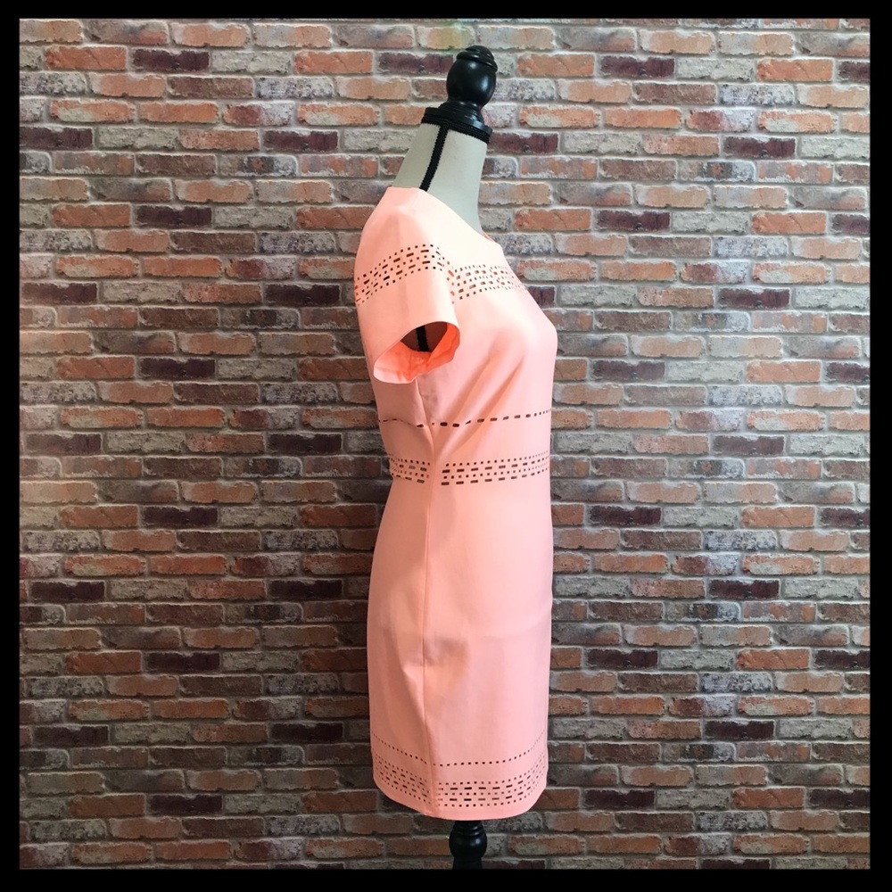 Elizabeth and James Ari Cutout Stretch Mini Dress - Picture 3 of 5